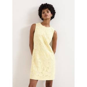 Phase Eight Bryony Lace Dress